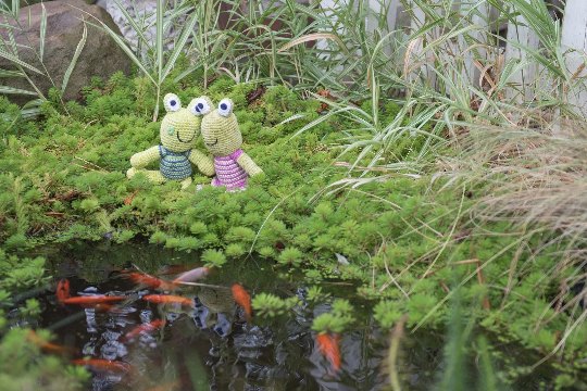 Crochet Frog Rattle