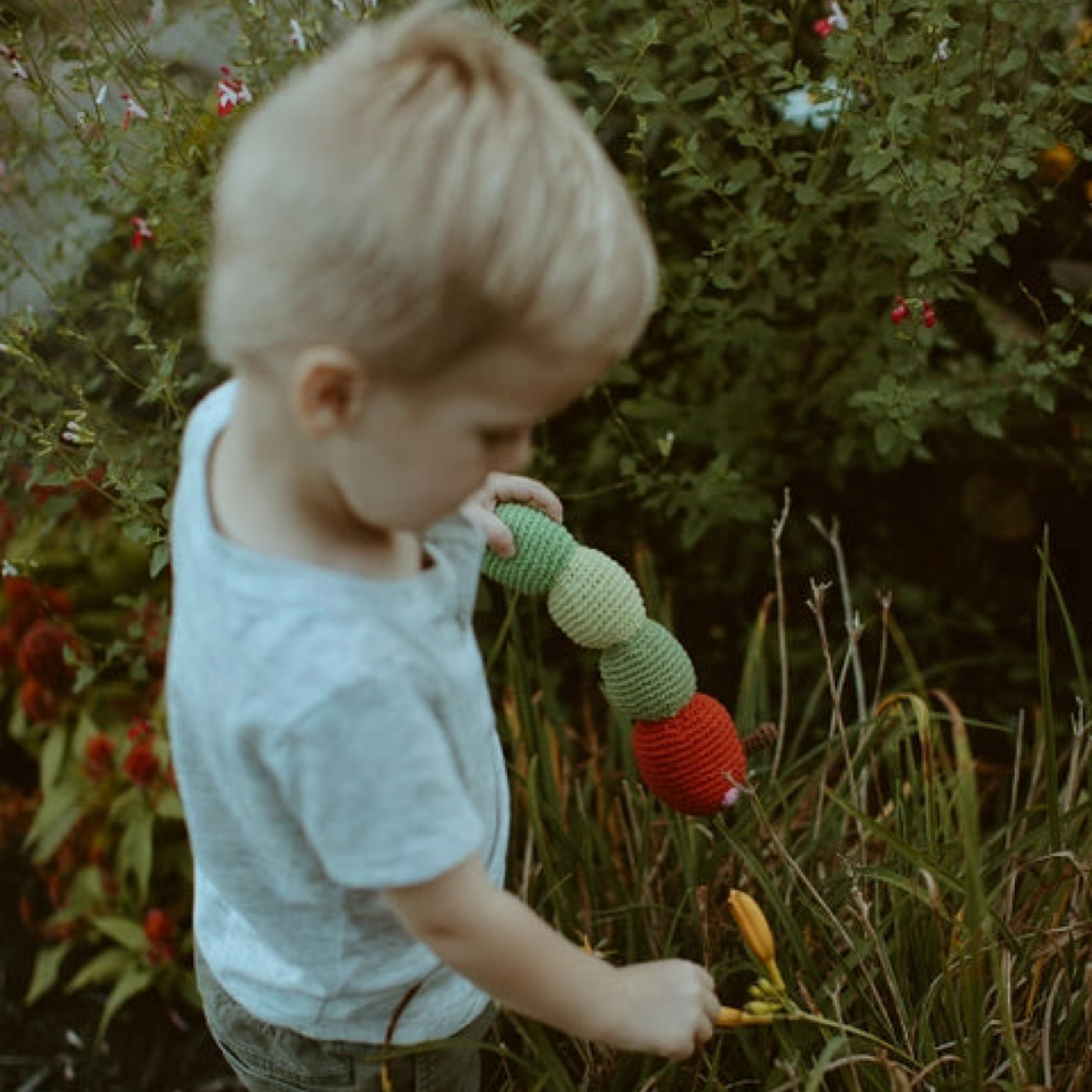 The Very Hungry Caterpillar Story Sack