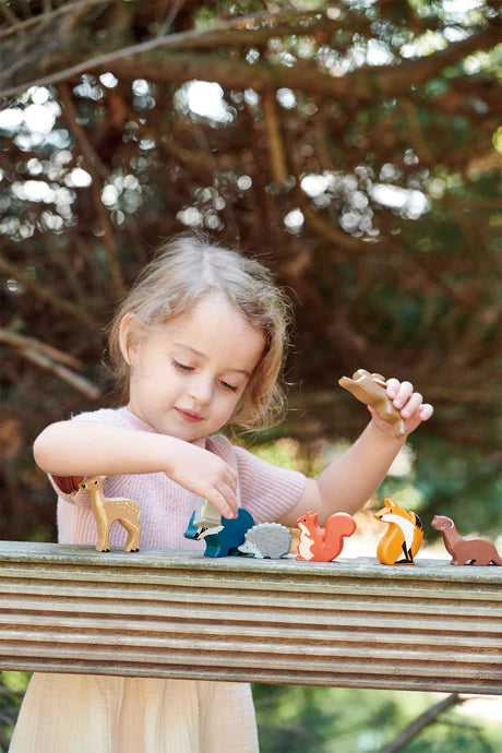 8 Woodland Animals & Shelf