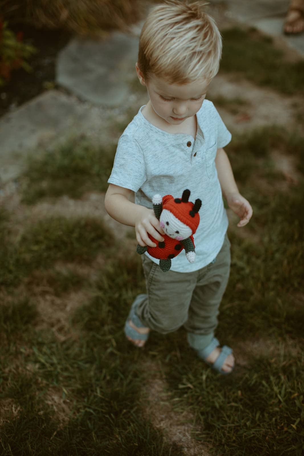 Crochet Ladybird Rattle