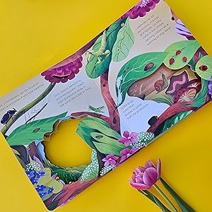 What Can You See in the Garden? (Peep-Through Board Book)