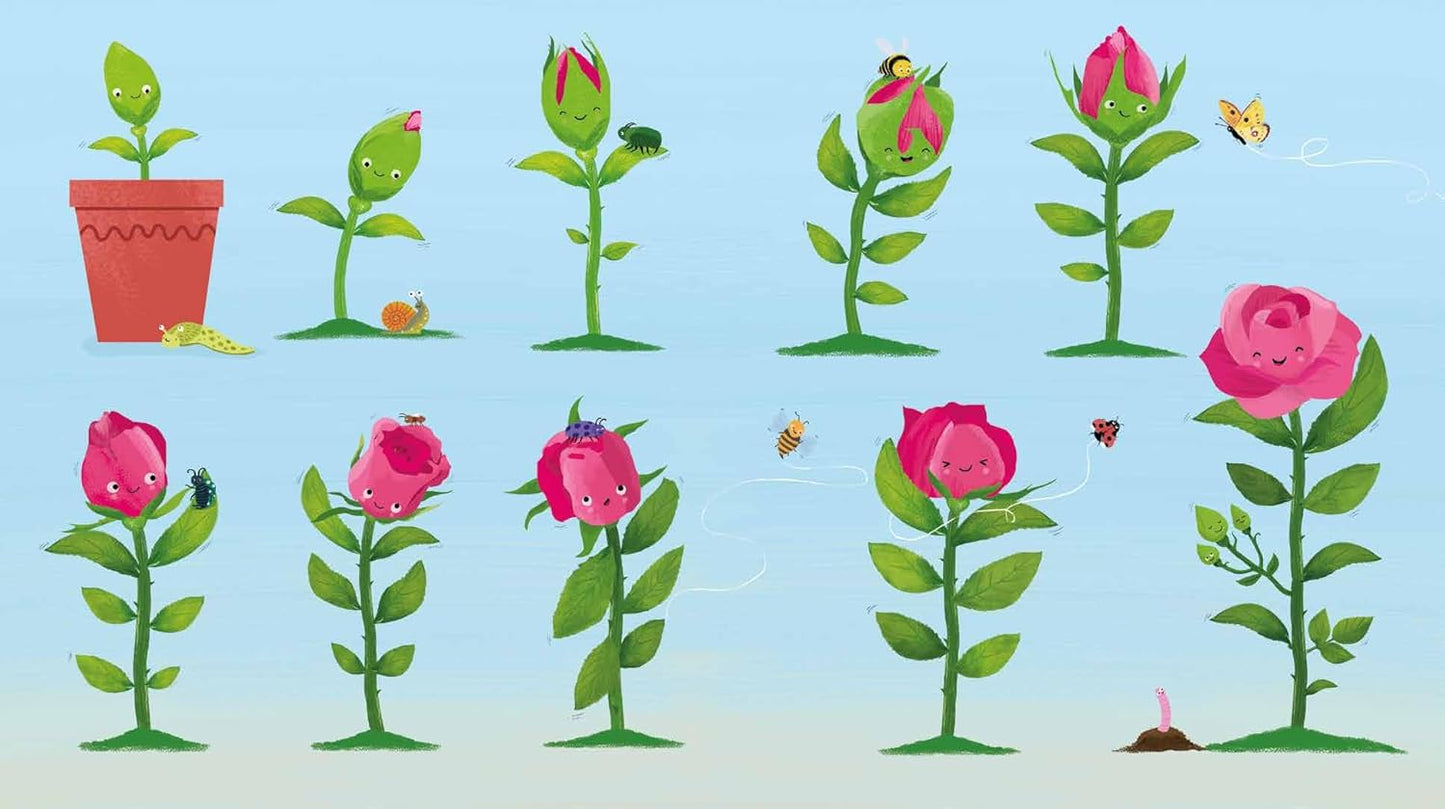 Bud: The Story of How a Plant Grows Up (Paperback)