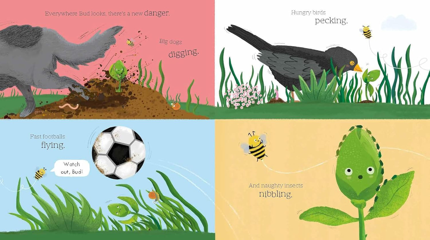 Bud: The Story of How a Plant Grows Up (Paperback)