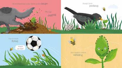 Bud: The Story of How a Plant Grows Up (Paperback)