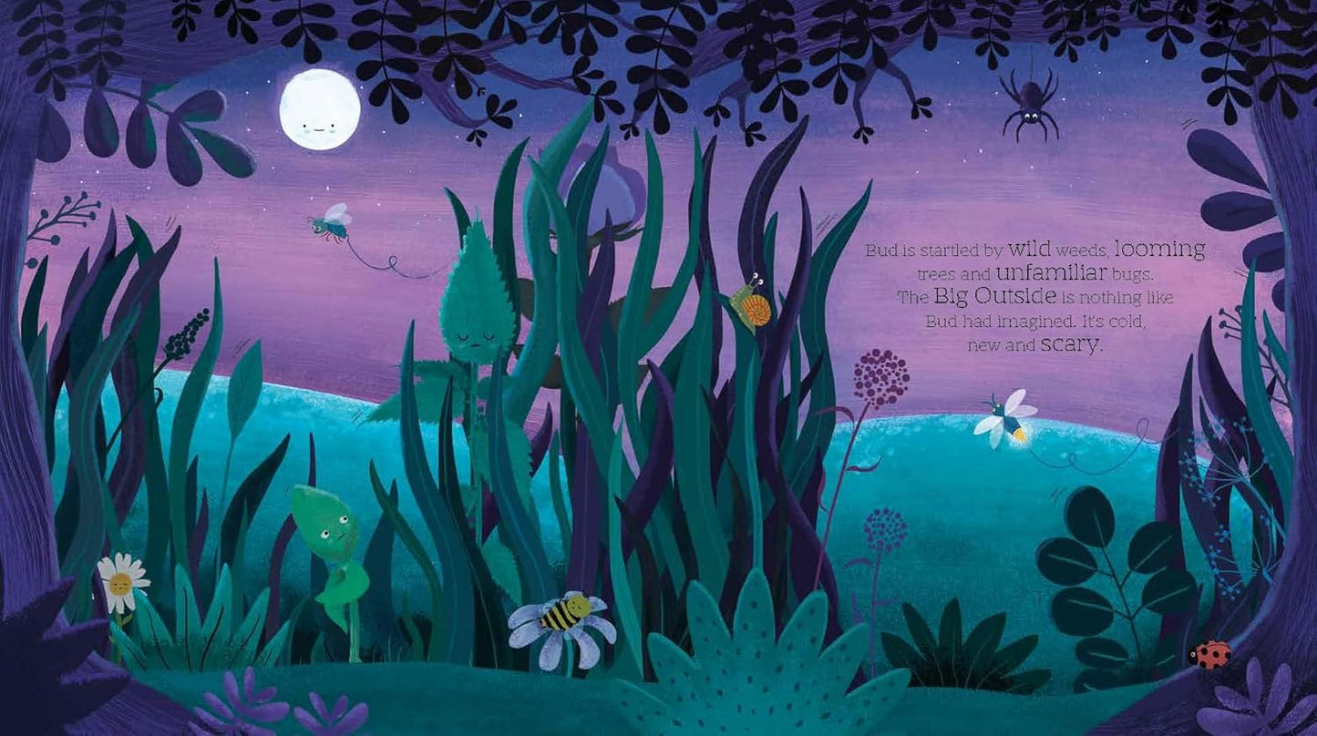 Bud: The Story of How a Plant Grows Up (Paperback)