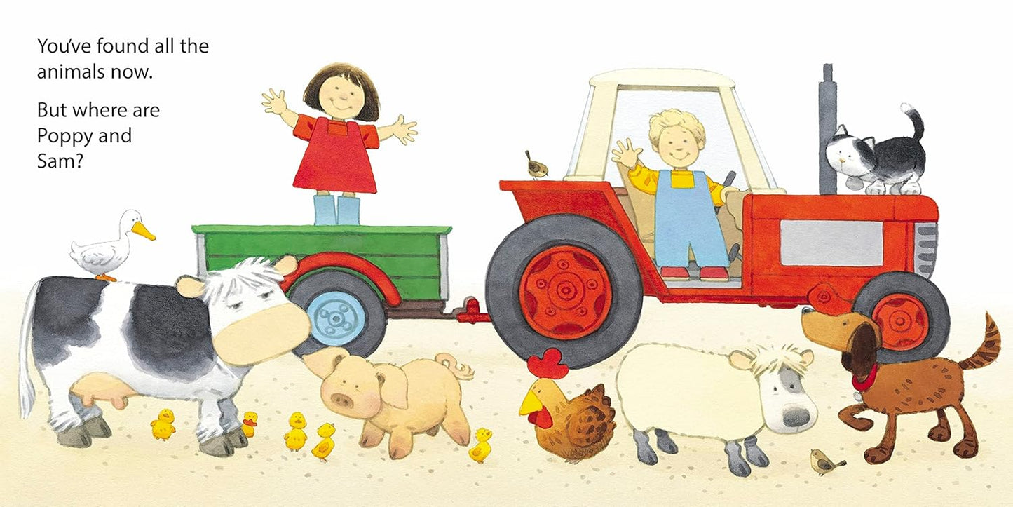 Poppy and Sam's Animal Hide and Seek (Usborne Lift-the-Flap)