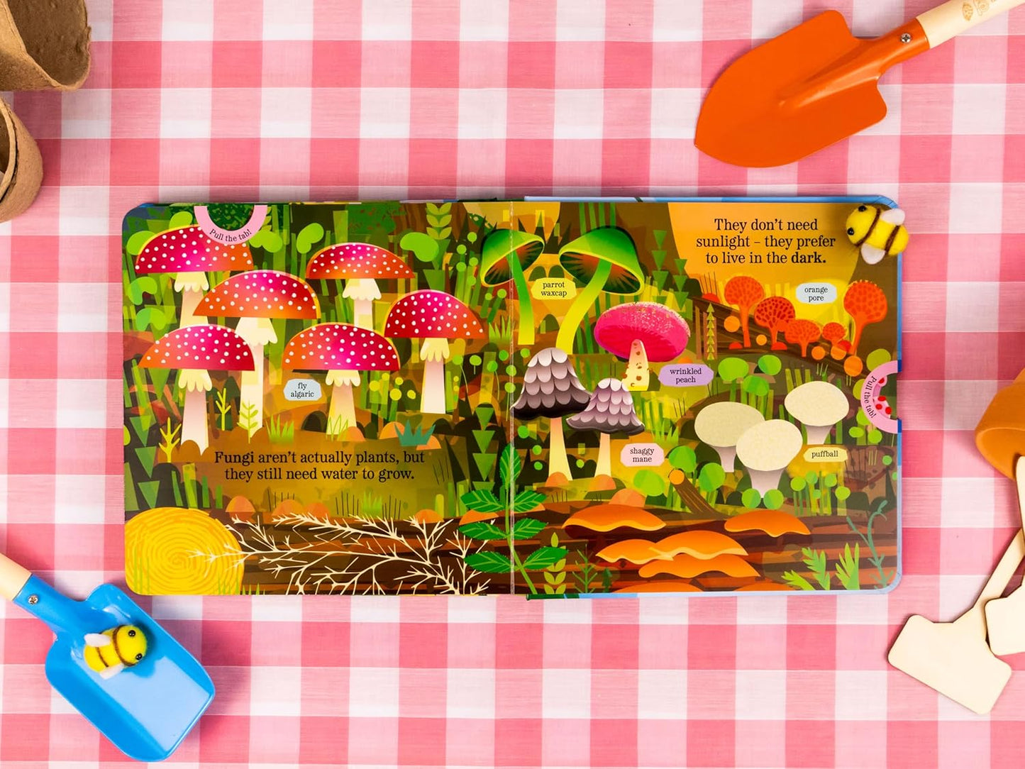 Amazing Plants: My Nature Pull-Tab Board Book