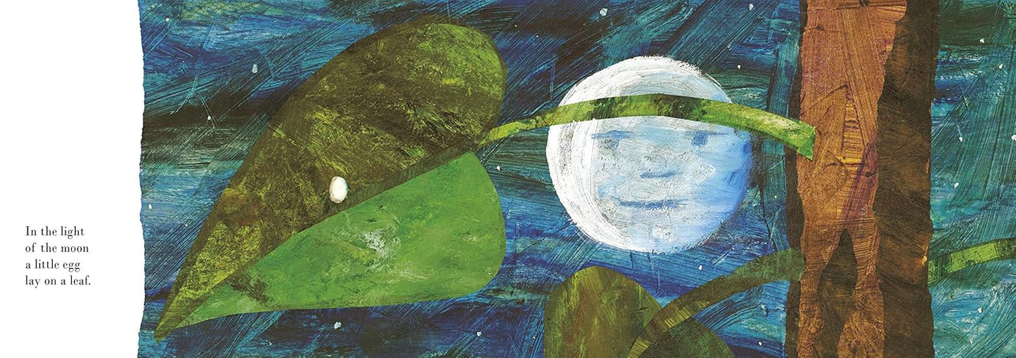 The Very Hungry Caterpillar (Board Book) 🐛