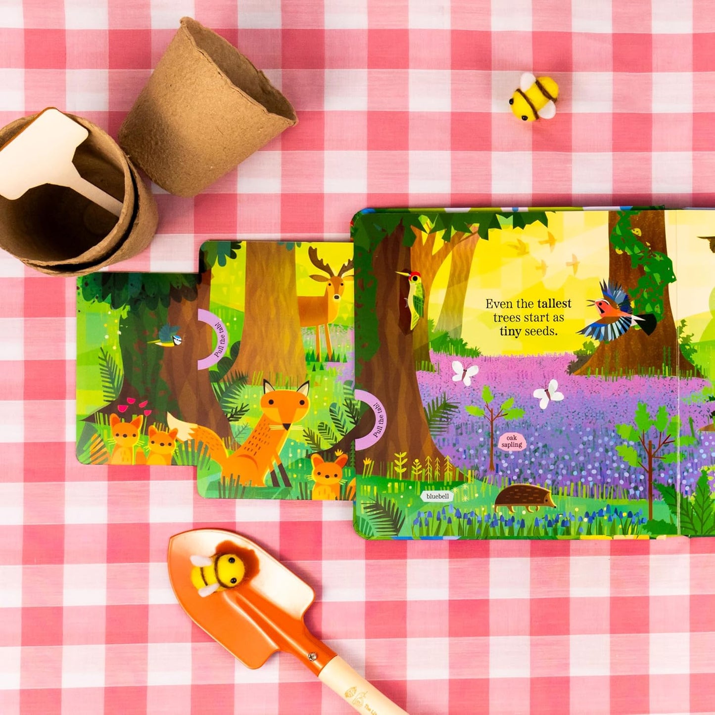 Amazing Plants: My Nature Pull-Tab Board Book