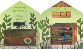 Bug Hotel: Lift-the-Flap Nature Book